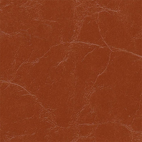 Instyle Accent - The Foam Booth