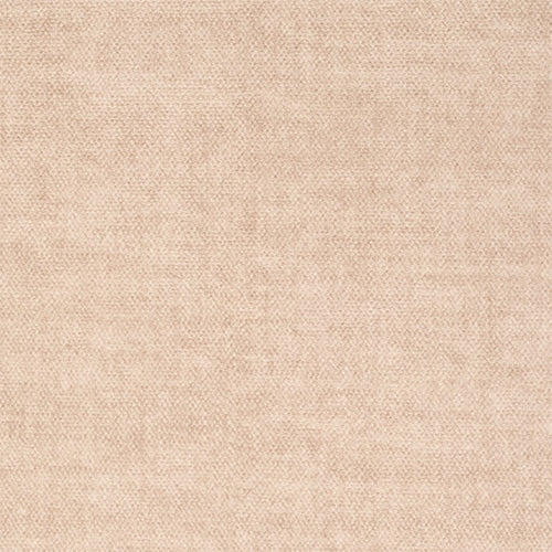 Zepel Akoya - The Foam Booth