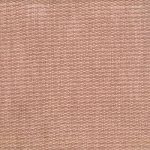 Colson (Tritan) - The Foam Booth