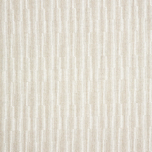 Sabi Sands Tutsi Cumin