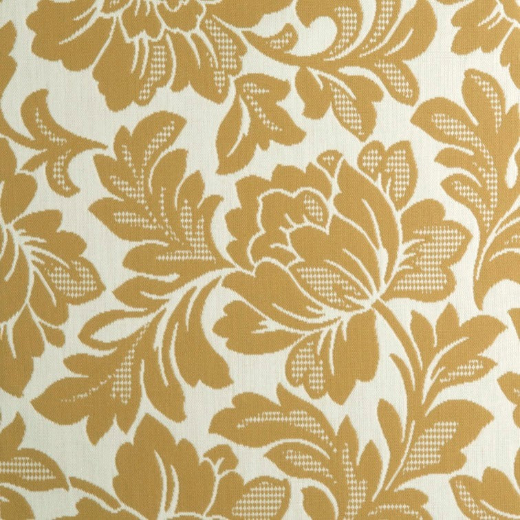 Inside Out Into Lagoon - The Foam Booth