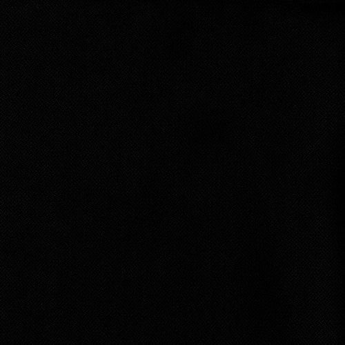 Coast Pure Albatross