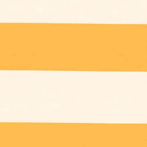 Bar Stripe - The Foam Booth