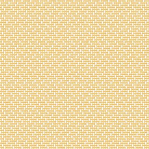 Jewel Camp - The Foam Booth