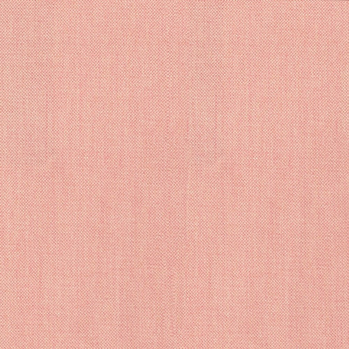 Jewel Camp Morganite