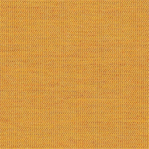 Desert