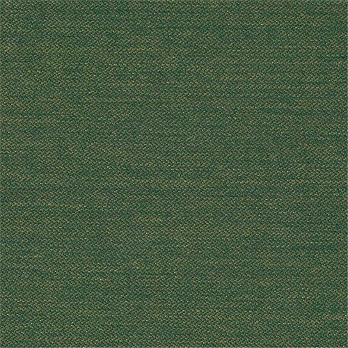 Fern