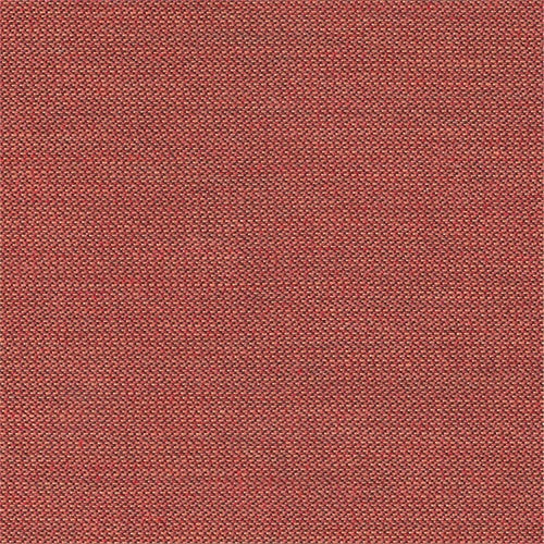 Bliss Asgard - The Foam Booth