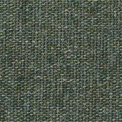 Warwick Berkley - The Foam Booth