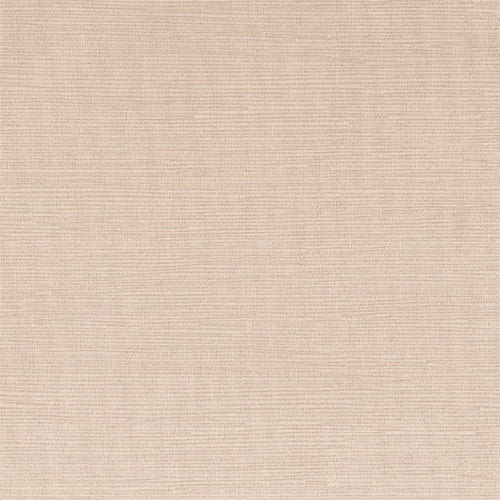 Warwick Caitlin - The Foam Booth