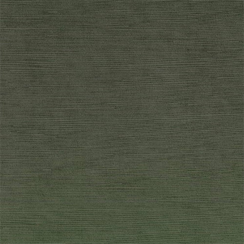 Warwick Caitlin - The Foam Booth