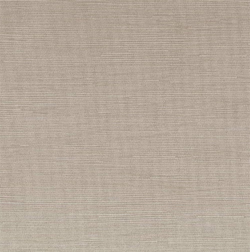 Warwick Caitlin - The Foam Booth