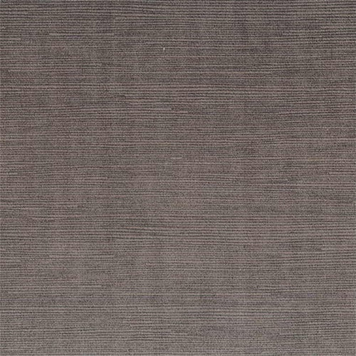 Warwick Caitlin - The Foam Booth