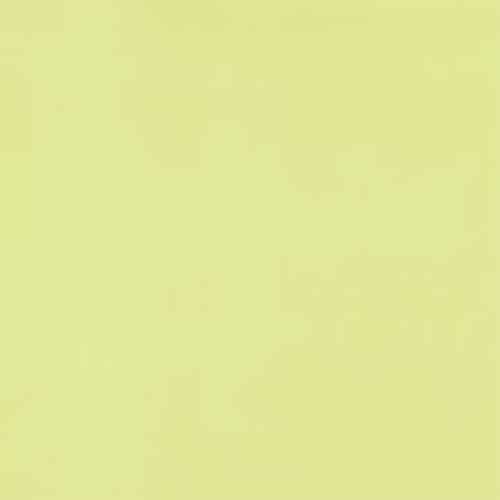 Endive