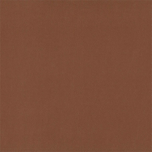 Pecan