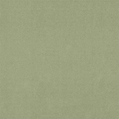 Seafoam