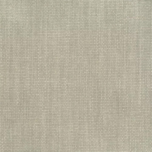 Colson (Tritan) - The Foam Booth