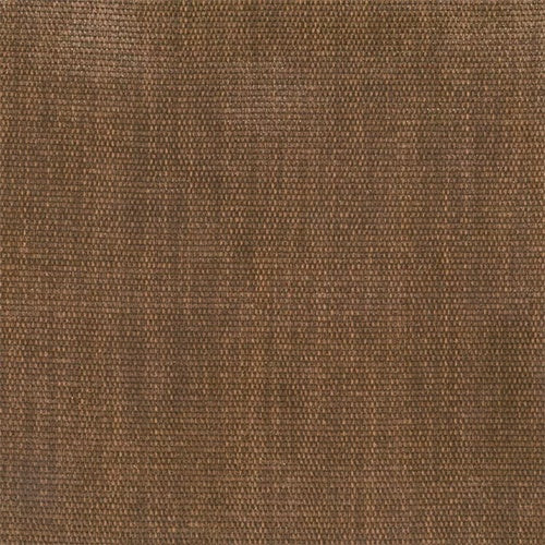 Colson (Tritan) - The Foam Booth