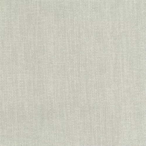 Colson (Tritan) - The Foam Booth