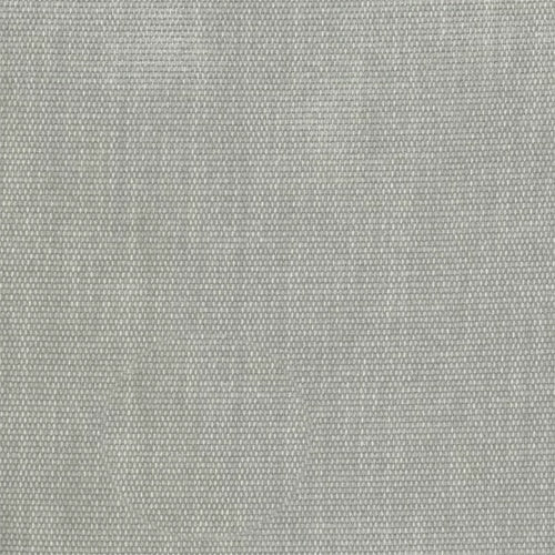 Colson (Tritan) - The Foam Booth