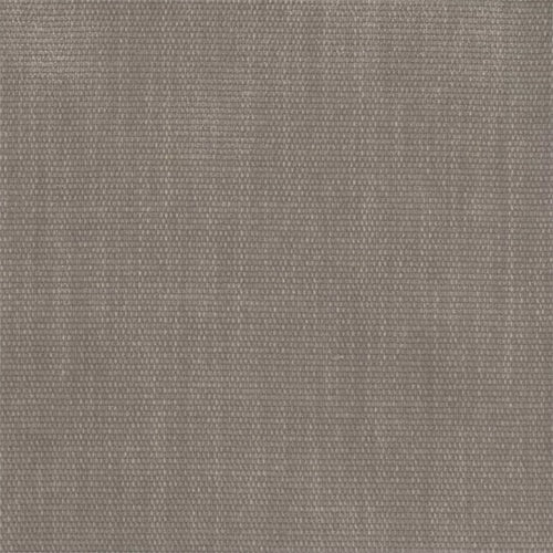 Colson (Tritan) - The Foam Booth