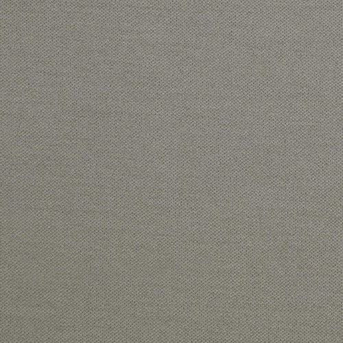 Zepel Convoy - The Foam Booth