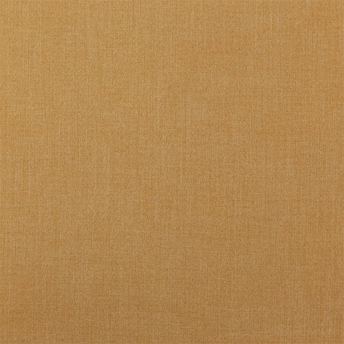 Zepel Cushy - The Foam Booth