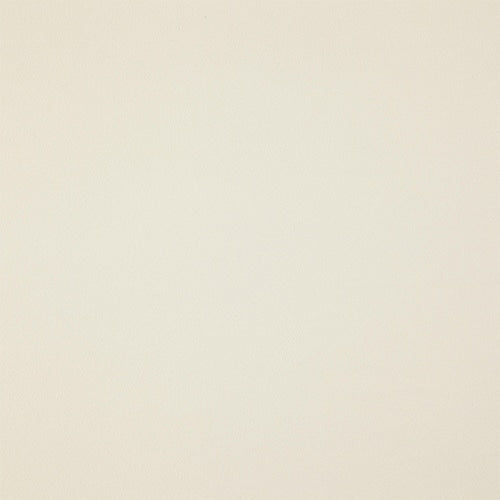 Zepel Cushy - The Foam Booth