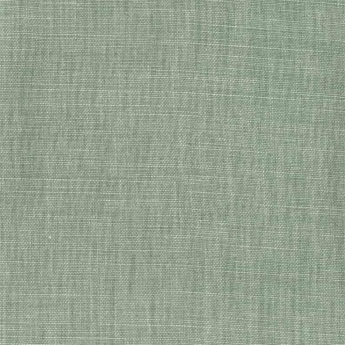 Eucalyptus