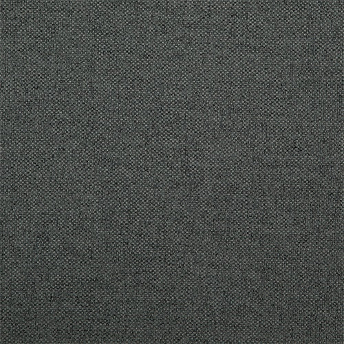 Iron