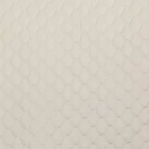 Warwick Essence - The Foam Booth