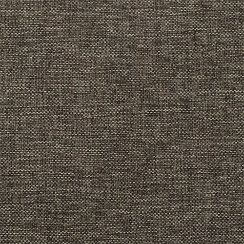 warwick Globe - The Foam Booth