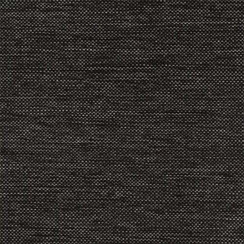 warwick Globe - The Foam Booth