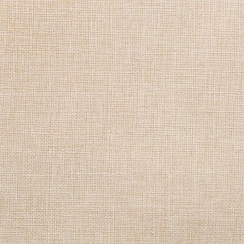 warwick Globe - The Foam Booth