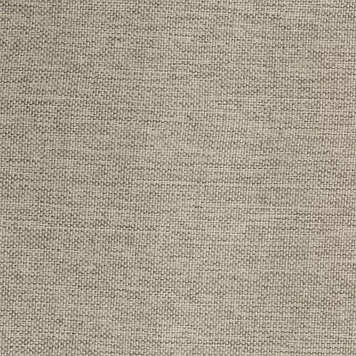 warwick Globe - The Foam Booth