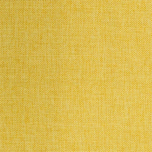 warwick Globe - The Foam Booth