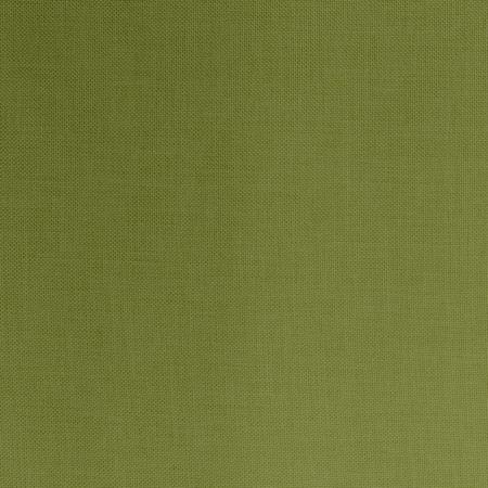 Warwick Astral Gyro - The Foam Booth