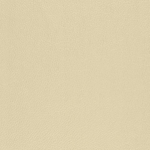 Pacifica Hide - The Foam Booth