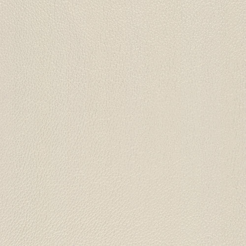 Pacifica Hide - The Foam Booth