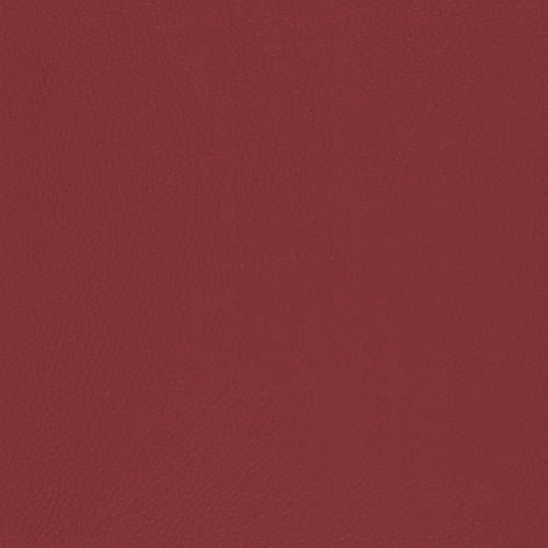 Pacifica Hide - The Foam Booth