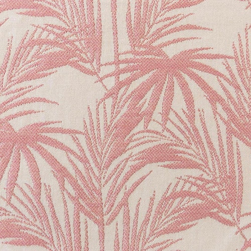 Jewel Daintree - The Foam Booth