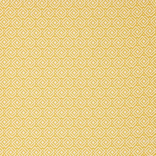 Warwick Joss - The Foam Booth