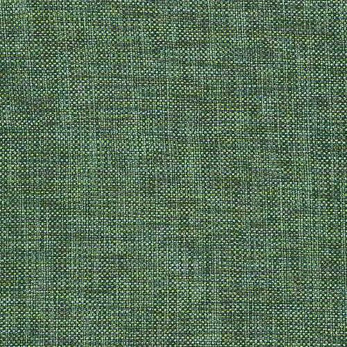 Warwick Blaze - The Foam Booth