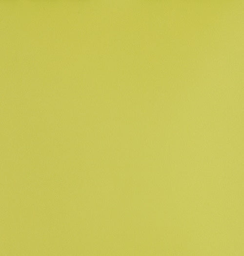 Laine Silk - The Foam Booth