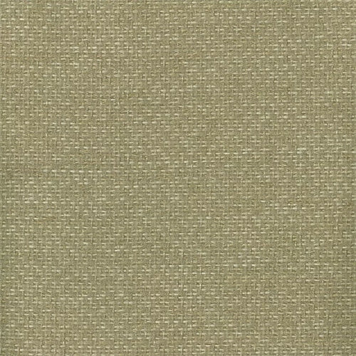 Birch