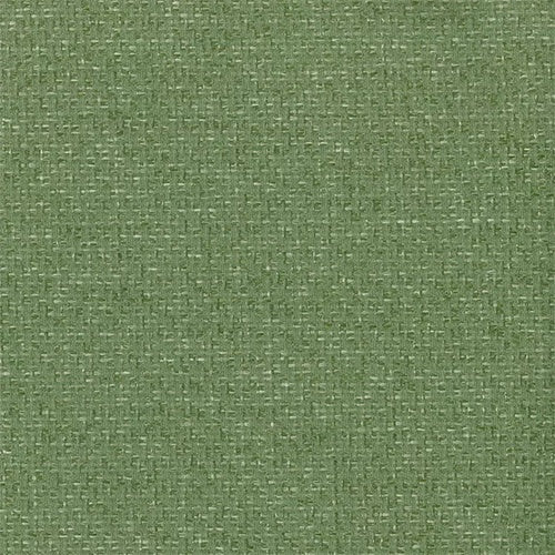 Grass