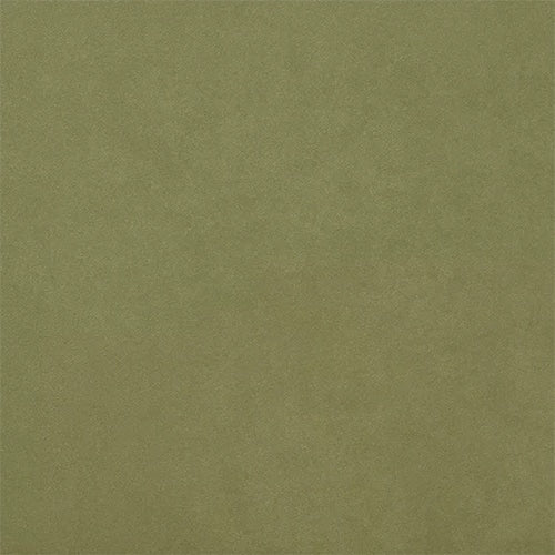 warwick Macrosuede HG