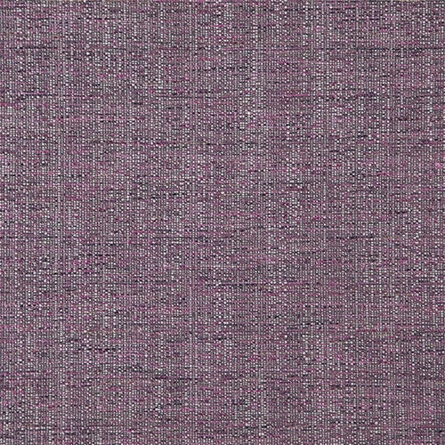 Fuschia