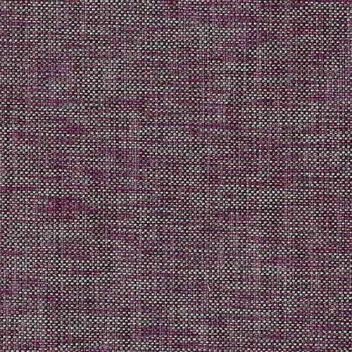 Warwick Blaze - The Foam Booth