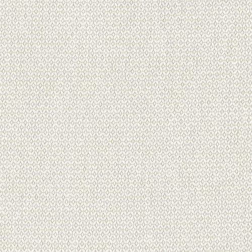 Warwick Bhodi - The Foam Booth